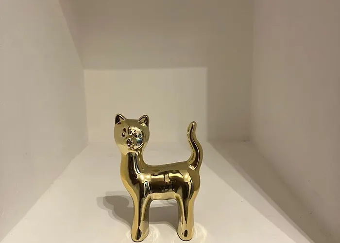 In Arona, Olivia's 100mt Dal