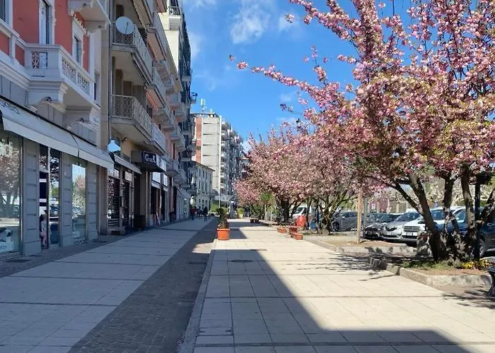 In Arona, Olivia's 100mt Dal * Arona